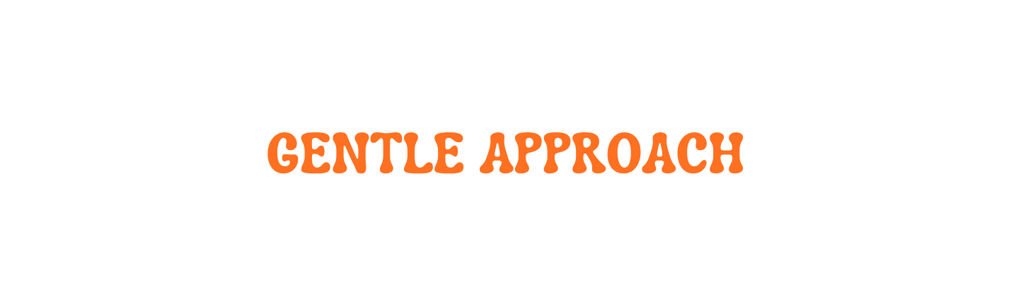 GENTLE APPROACH